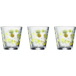 Verre conique bas motif exotique 25,5 cl x3^Gifi Online